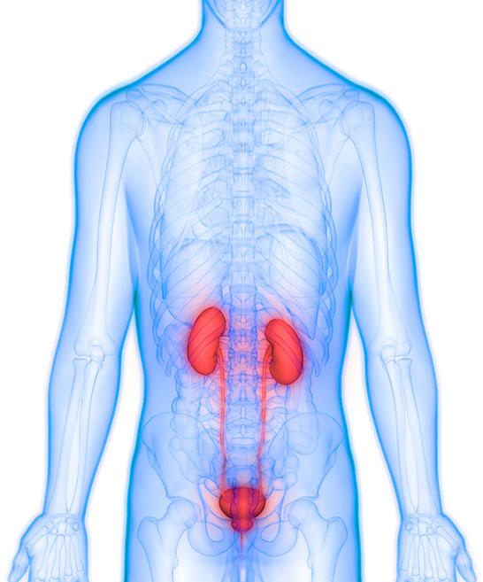 Dr. Hohmuth M-BAG Wissenschaft